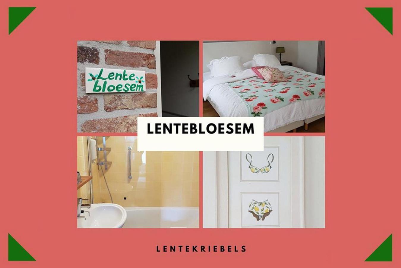 B&B Landgoed Rijckholt Geersdijk Værelse billede